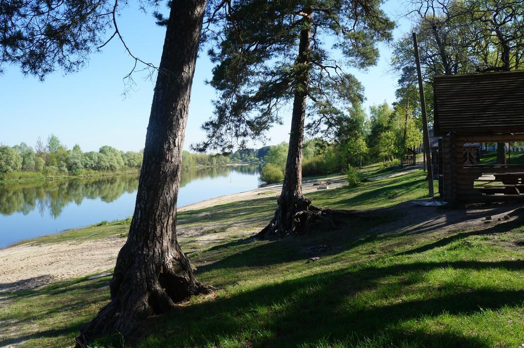 Belaya Dacha Apartment Gomel Exteriér fotografie
